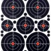 Crosman Visible Impact Targets -Arrow Point Shop AA515