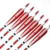 31 Inch Turkey Feather Mixed Carbon Arrows X 10 -Arrow Point Shop htb1tbbvsazok1rjszflq6yi4vxaz